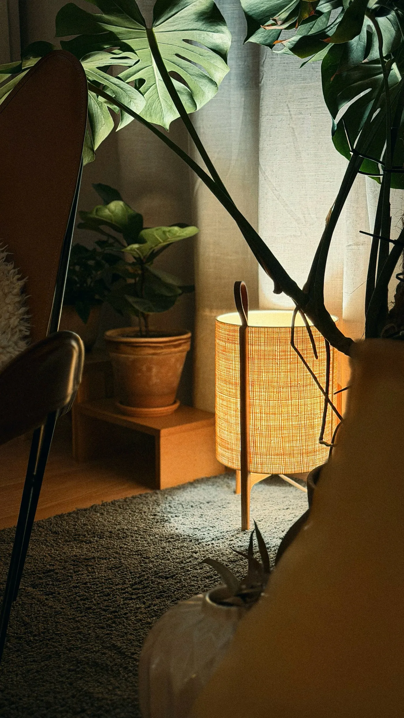 A cozy room with plants and warm lamp light